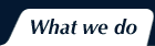 what_we_do